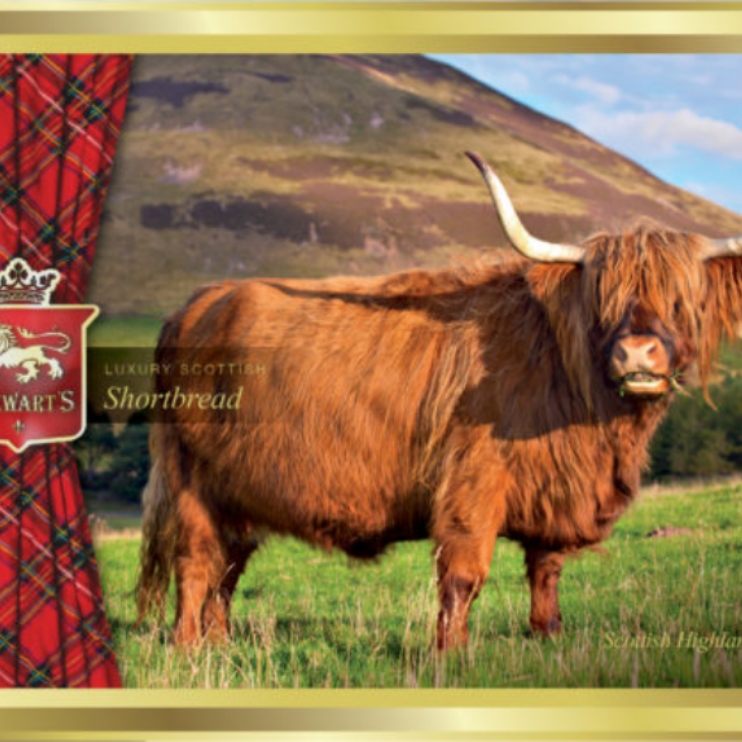 Stewarts Shortbread - Highland cow tin 150g